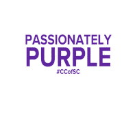 South Carolina Athletics Sticker