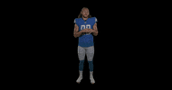 Football Nfl GIF by Detroit Lions