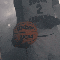 March Madness Sport GIF by gamecocksonline
