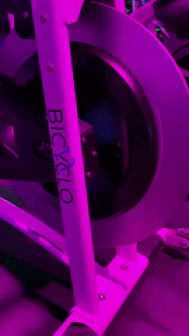 Bicyclo giphyupload fitness gym fit GIF