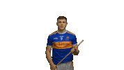 bord gais sport Sticker by Bord Gáis Energy