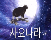 Cat Space GIF