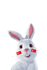 Tavsan Hızlı Sticker by Fibabanka