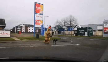 Dog Walker in Scotland Dons Dinosaur Suit During Coronavirus Lockdown
