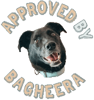 Dog Sticker by AwooPets