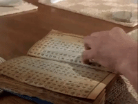 the mystery files of shelby woo nicksplat GIF