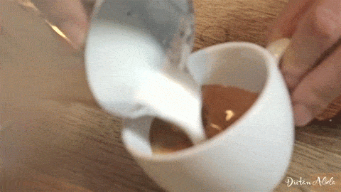 latte reference GIF