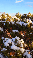 'First Good Snow of the Season' Dusts Colorado National Monument