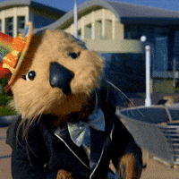 Top Hat Puppet GIF by Aquarium of the Pacific