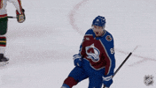 Happy Colorado Avalanche GIF by NHL