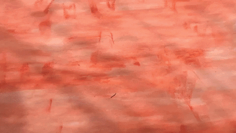 littlewavemakes giphyupload GIF