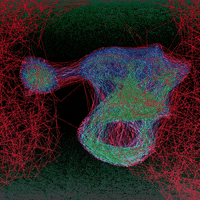 LineApeClub obscure line ape club obscure prints line apes GIF