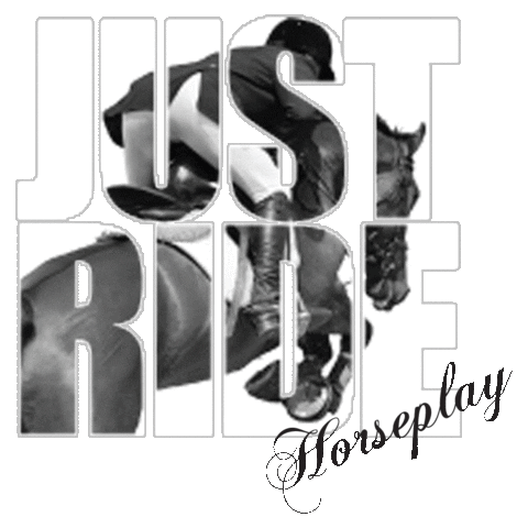 Horse Just Ride Sticker by HorseplayApparel