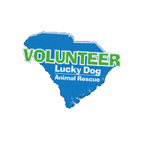 Scldar Sticker by Lucky Dog Animal Rescue