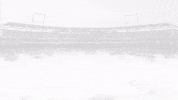creighton bluejays GIF by Creighton University Athletics