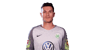 Pavao Pervan Football Sticker by VfL Wolfsburg