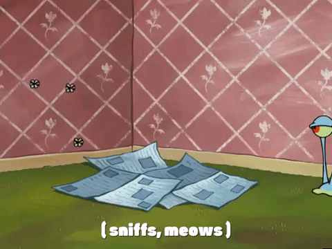 season 4 episode 3 GIF by SpongeBob SquarePants