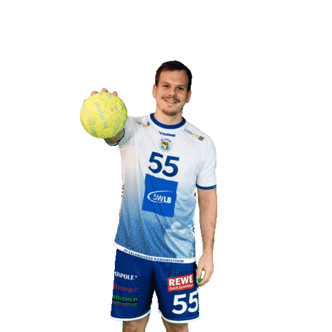 Handball Flugel Sticker by SV Salamander Kornwestheim