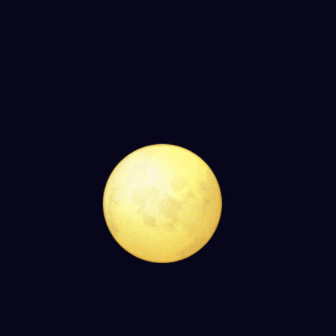 Moon Mooncake GIF by WAO