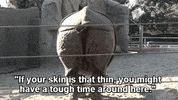 GIF by Giffffr