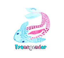 Kamiraii pink white pride fish Sticker