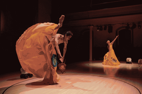 danspace giphyupload GIF