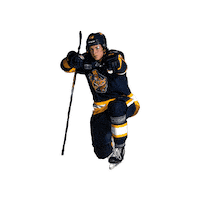 ottershockey ohl erie otters otters hockey erie otters hockey Sticker