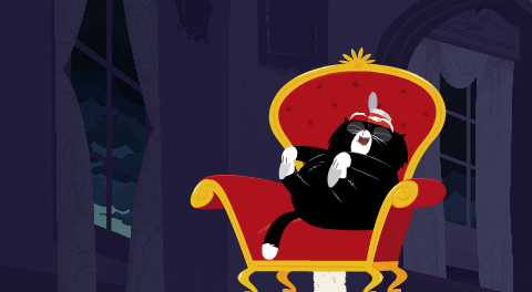 Cats GIF by Kitty Is Not A Cat