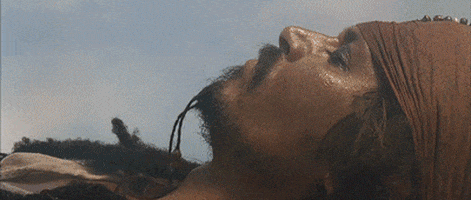Jack Sparrow GIF by Giphy QA