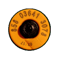 Uruguay Ce Sticker by IDENTAG