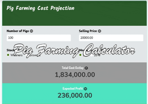kmacims giphygifmaker startup cost for business startup cost for business calculator pig farming startup calculator GIF