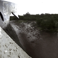Safari Rally Motorsport GIF by FIA World Rally Championship