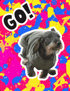 infkennel giphyupload GIF