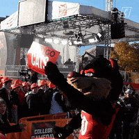 University Of Cincinnati Hype GIF by Cincinnati Bearcats