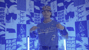Creighton Bluejays Baseball GIF by Creighton University Athletics