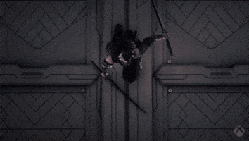 Team Ninja GIF by Xbox