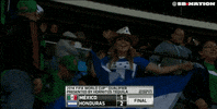 page mexico GIF