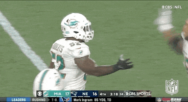 Miami Dolphins Football GIF by NFL
