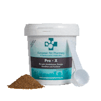 Dogs Agility Sticker by Europeanpetpharmacy