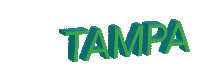 tampa Sticker by C21Beggins