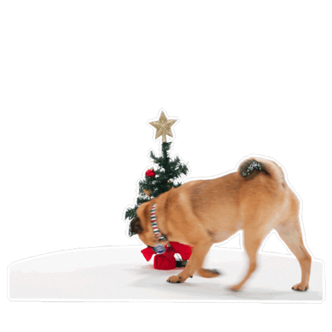 Christmas Tree Sticker by Petsure UK