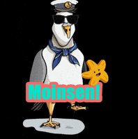 Moewe GIF by fehmarn.de