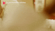 GIF by Showmax