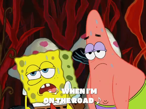 season 8 spongebob's runaway roadtrip: a squarepants family vacation GIF by SpongeBob SquarePants