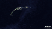Star Trek Fighting GIF by Star Trek Fleet Command