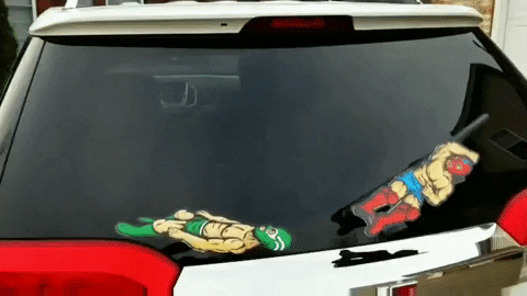 wwe wrestling GIF by WiperTags Wiper Covers