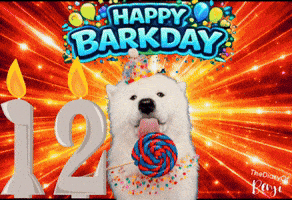 Happy Birthday GIF