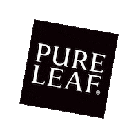 Believe Iced Tea Sticker by Pure Leaf