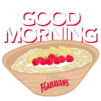 Good Morning Sticker by Flahavans