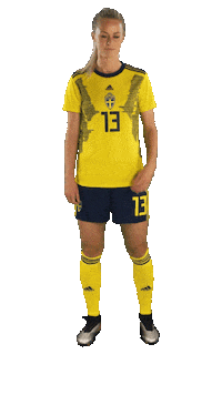 2019 Fifa Wwc Football Sticker by FIFA